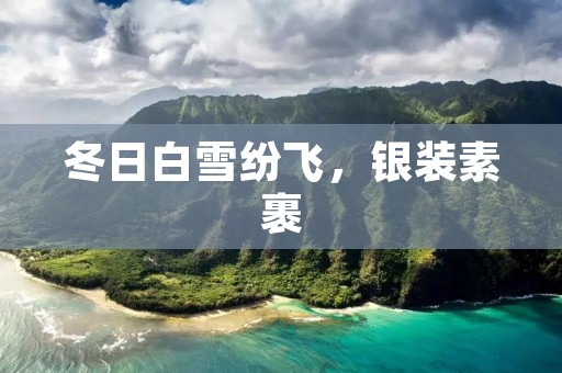 冬日白雪纷飞,银装素裹 冬日白雪纷飞,银装素裹