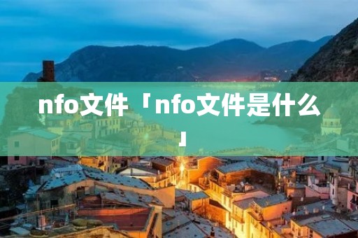 nfo文件「nfo文件是什么」