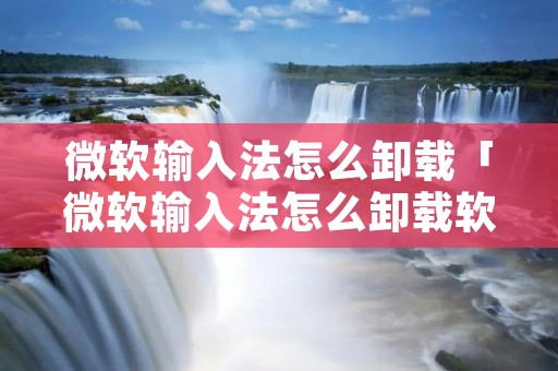 微软输入法怎么卸载「微软输入法怎么卸载软件」