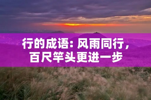 行的成语: 风雨同行,百尺竿头更进一步