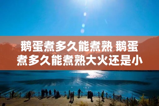 鹅蛋煮多久能煮熟 鹅蛋煮多久能煮熟大火还是小火