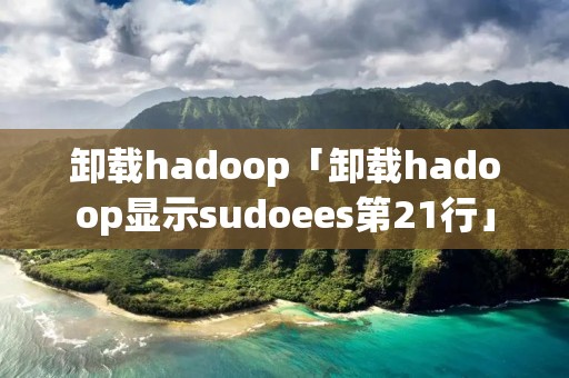 卸载hadoop「卸载hadoop显示sudoees第21行」