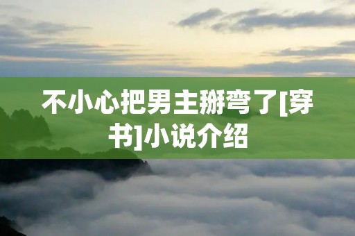 不小心把男主掰弯了[穿书]小说介绍