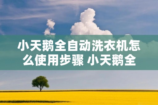 小天鹅全自动洗衣机怎么使用步骤 小天鹅全自动洗衣机怎么使用步骤视频 小天鹅全自动洗衣机怎么使用步骤 小天鹅全自动洗衣机怎么使用步骤视频