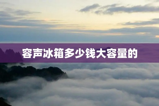 容声冰箱多少钱大容量的