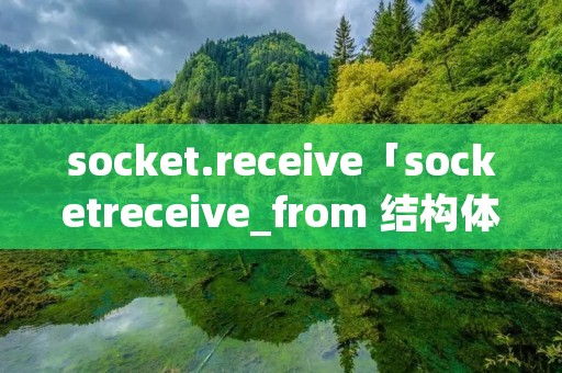 socket.receive「socketreceive_from 结构体」