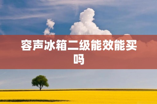 容声冰箱二级能效能买吗 容声冰箱二级能效能买吗