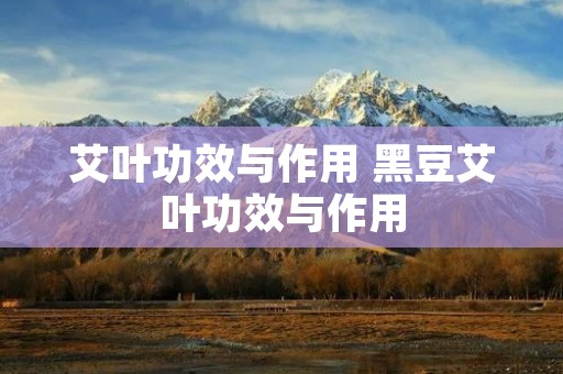 艾叶功效与作用 黑豆艾叶功效与作用