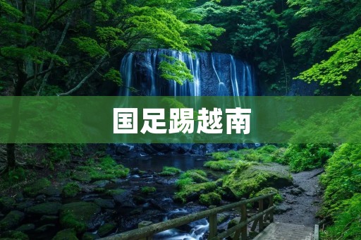 国足踢越南：壮志凌云再战东南亚