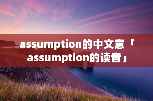 assumption的中文意「assumption的读音」