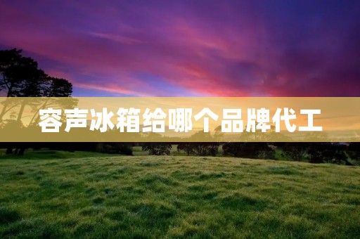 容声冰箱给哪个品牌代工