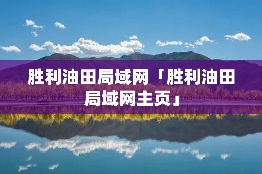 胜利油田局域网「胜利油田局域网主页」