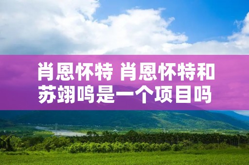 肖恩怀特 肖恩怀特和苏翊鸣是一个项目吗 肖恩怀特 肖恩怀特和苏翊鸣是一个项目吗