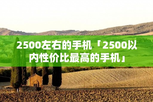 2500左右的手机「2500以内性价比最高的手机」