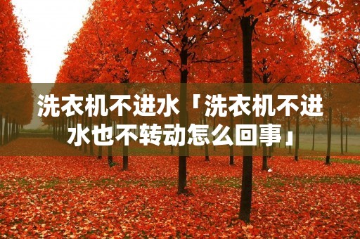 洗衣机不进水「洗衣机不进水也不转动怎么回事」 洗衣机不进水「洗衣机不进水也不转动怎么回事」