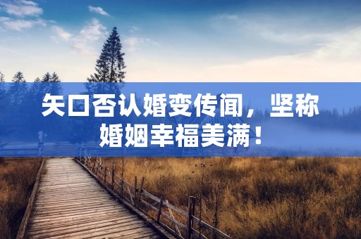 矢口否认婚变传闻,坚称婚姻幸福美满!