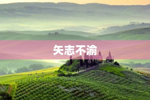 矢志不渝:坚定追求与持之以恒的力量