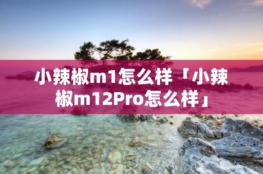 小辣椒m1怎么样「小辣椒m12Pro怎么样」