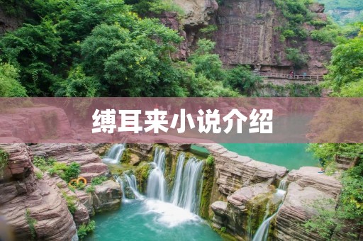 缚耳来小说介绍