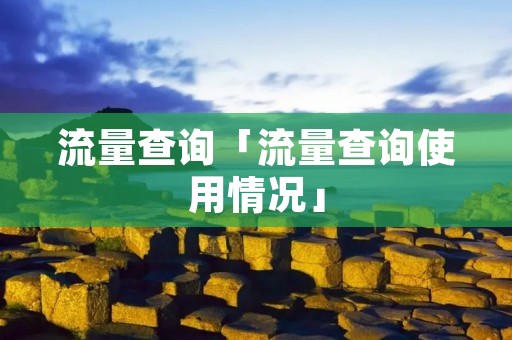 流量查询「流量查询使用情况」 流量查询「流量查询使用情况」