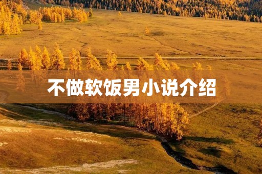 不做软饭男小说介绍