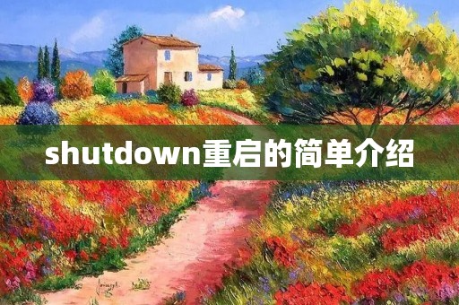 shutdown重启的简单介绍