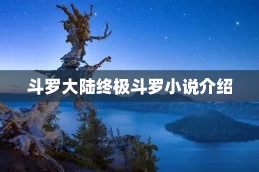 斗罗大陆终极斗罗小说介绍