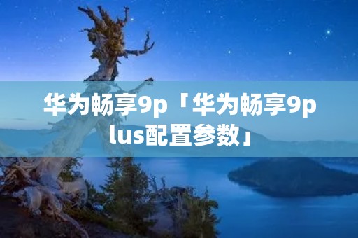 华为畅享9p「华为畅享9plus配置参数」