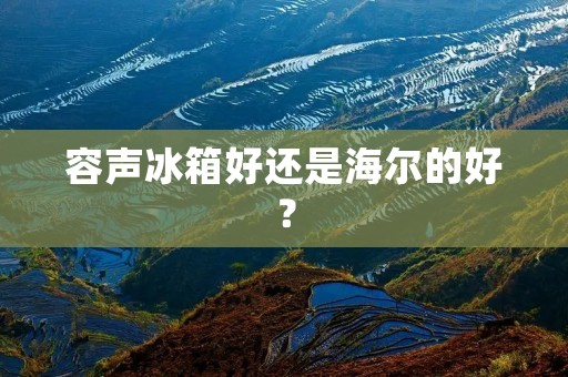 容声冰箱好还是海尔的好? 容声冰箱好还是海尔的好?