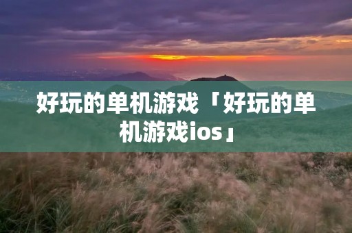 好玩的单机游戏「好玩的单机游戏ios」