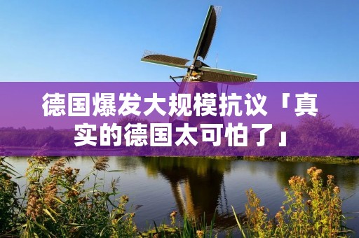 德国爆发大规模抗议「真实的德国太可怕了」