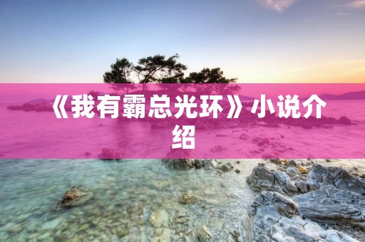 《我有霸总光环》小说介绍