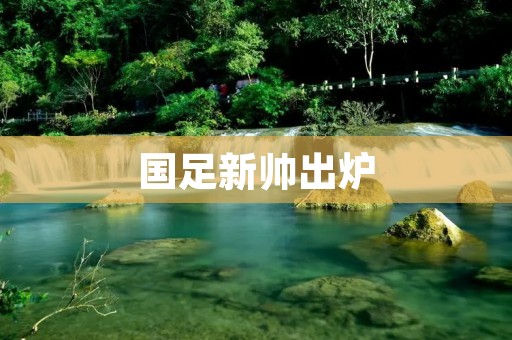 国足新帅出炉：中国足球迎来新的希望