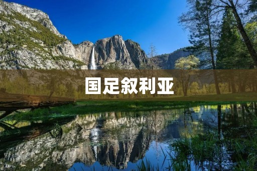国足叙利亚：一场胜利的关键之战