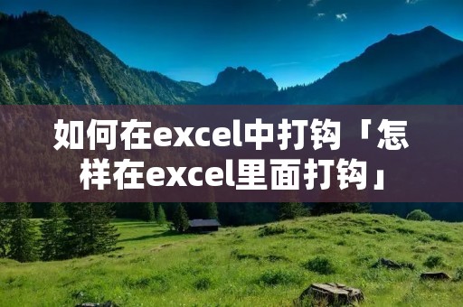 如何在excel中打钩「怎样在excel里面打钩」