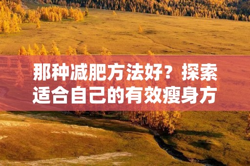 那种减肥方法好？探索适合自己的有效瘦身方式