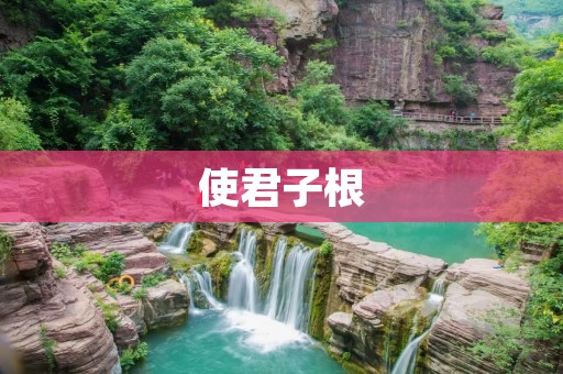 使君子根:一种珍贵的草药之根