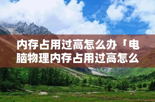 内存占用过高怎么办「电脑物理内存占用过高怎么办」 内存占用过高怎么办「电脑物理内存占用过高怎么办」