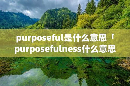 purposeful是什么意思「purposefulness什么意思」