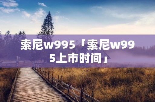 索尼w995「索尼w995上市时间」