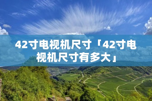 42寸电视机尺寸「42寸电视机尺寸有多大」 42寸电视机尺寸「42寸电视机尺寸有多大」