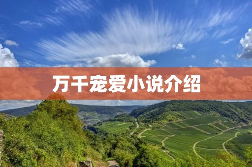 万千宠爱小说介绍