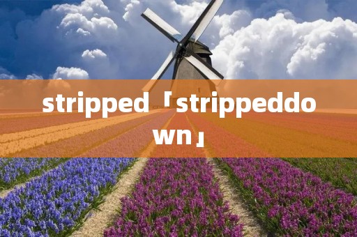 stripped「strippeddown」