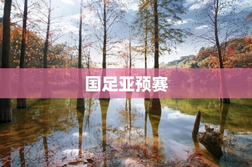 国足亚预赛：实力逐渐崛起，拼搏向前的征程