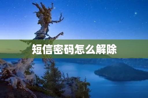 短信密码怎么解除