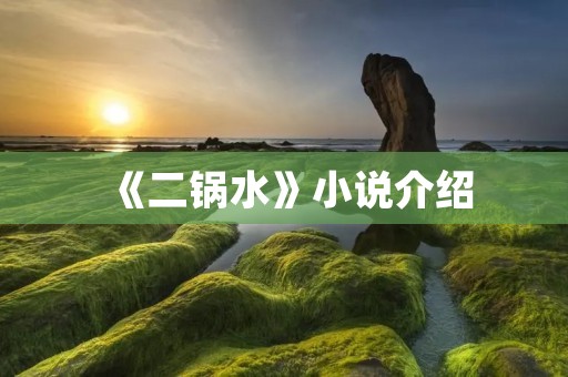 《二锅水》小说介绍