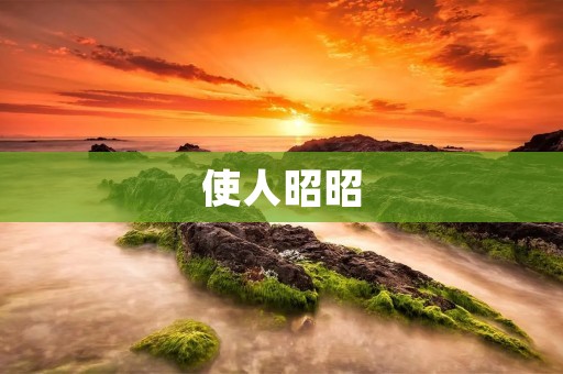 使人昭昭:如何通过读书提升个人知识水平与思维能力
