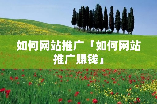 如何网站推广「如何网站推广赚钱」