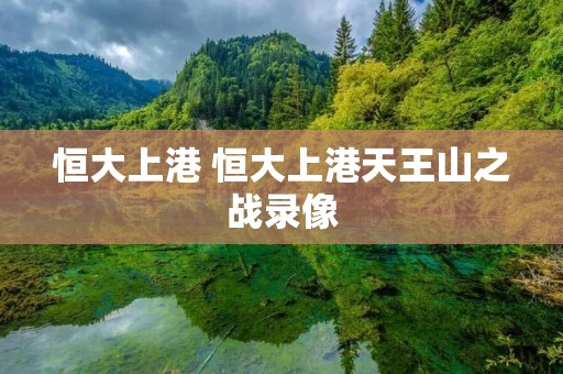恒大上港 恒大上港天王山之战录像