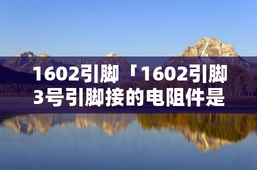 1602引脚「1602引脚3号引脚接的电阻件是什么」